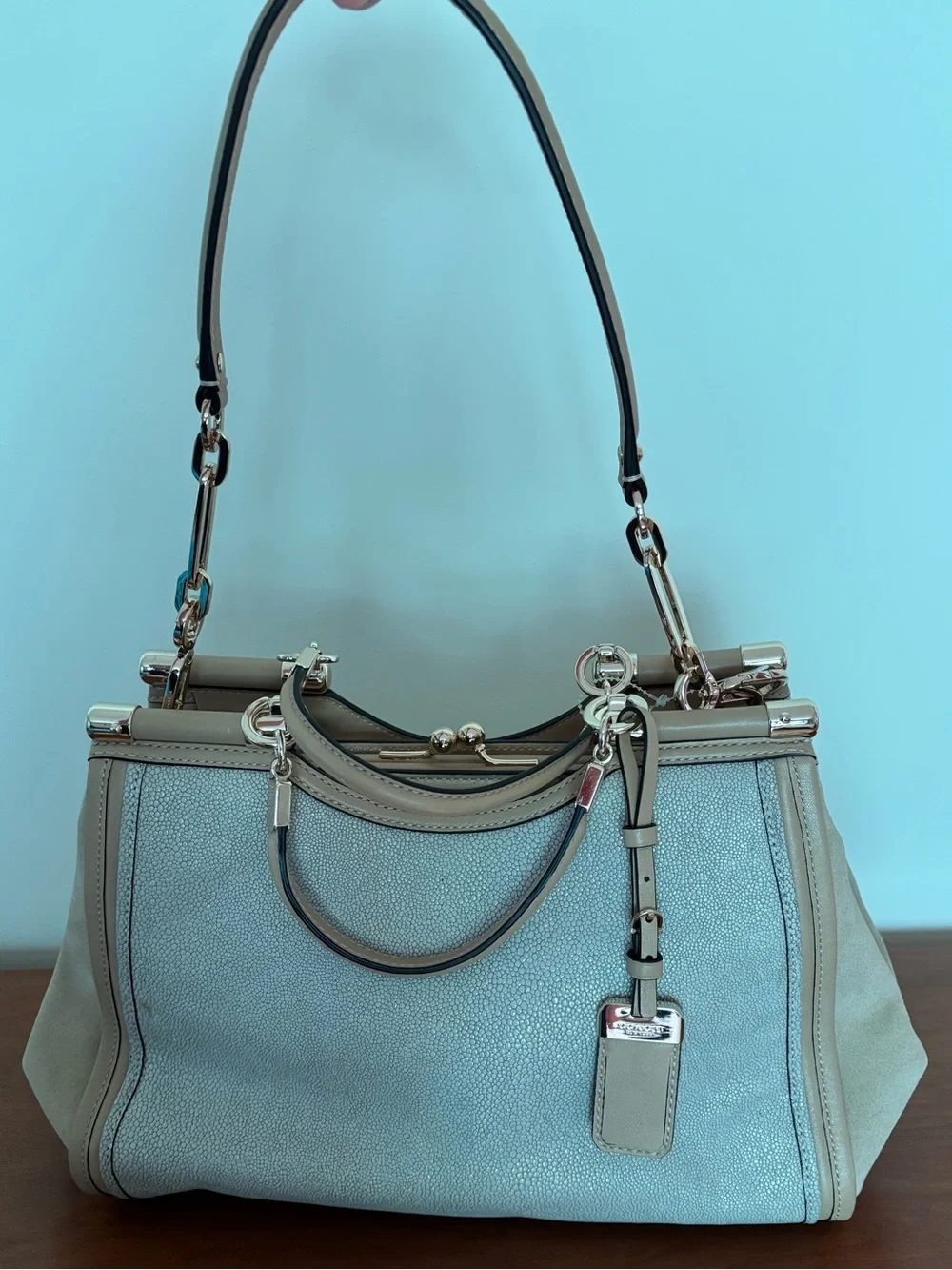 COACH Madison Pinnacle Caroline Satchel in Embossed Texture Leather and Sued